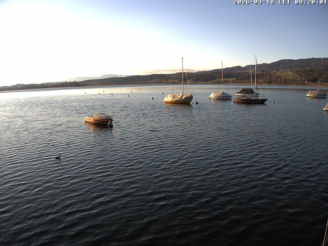 Uster › Süden: Greifensee