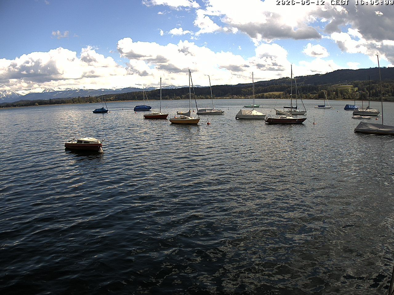 Uster › Süden: Greifensee