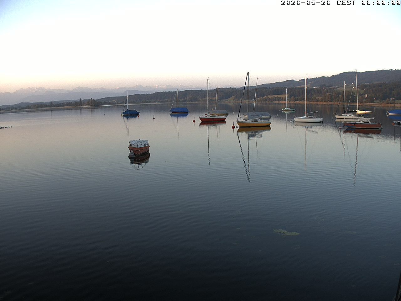 Uster › Süden: Greifensee