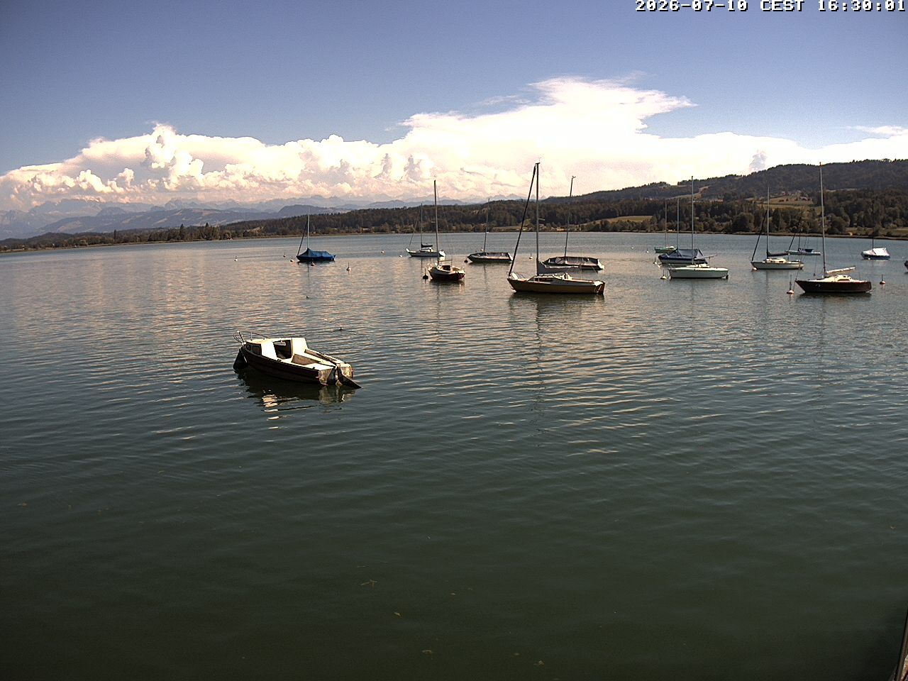 Uster › Süden: Greifensee