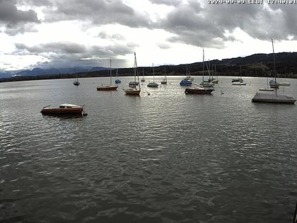 Uster › Süd: Greifensee