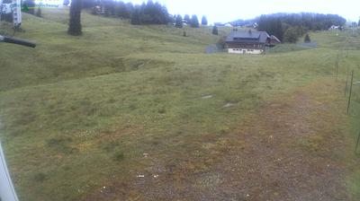 Feldberg Ort mountain webcam