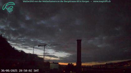 Horgen: Bergstrasse 68, 8810
