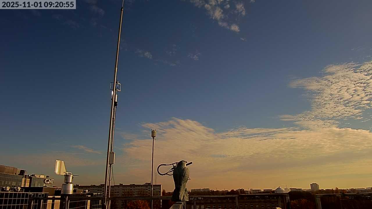 Poland during daytime Poland during daytime