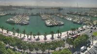 Palma