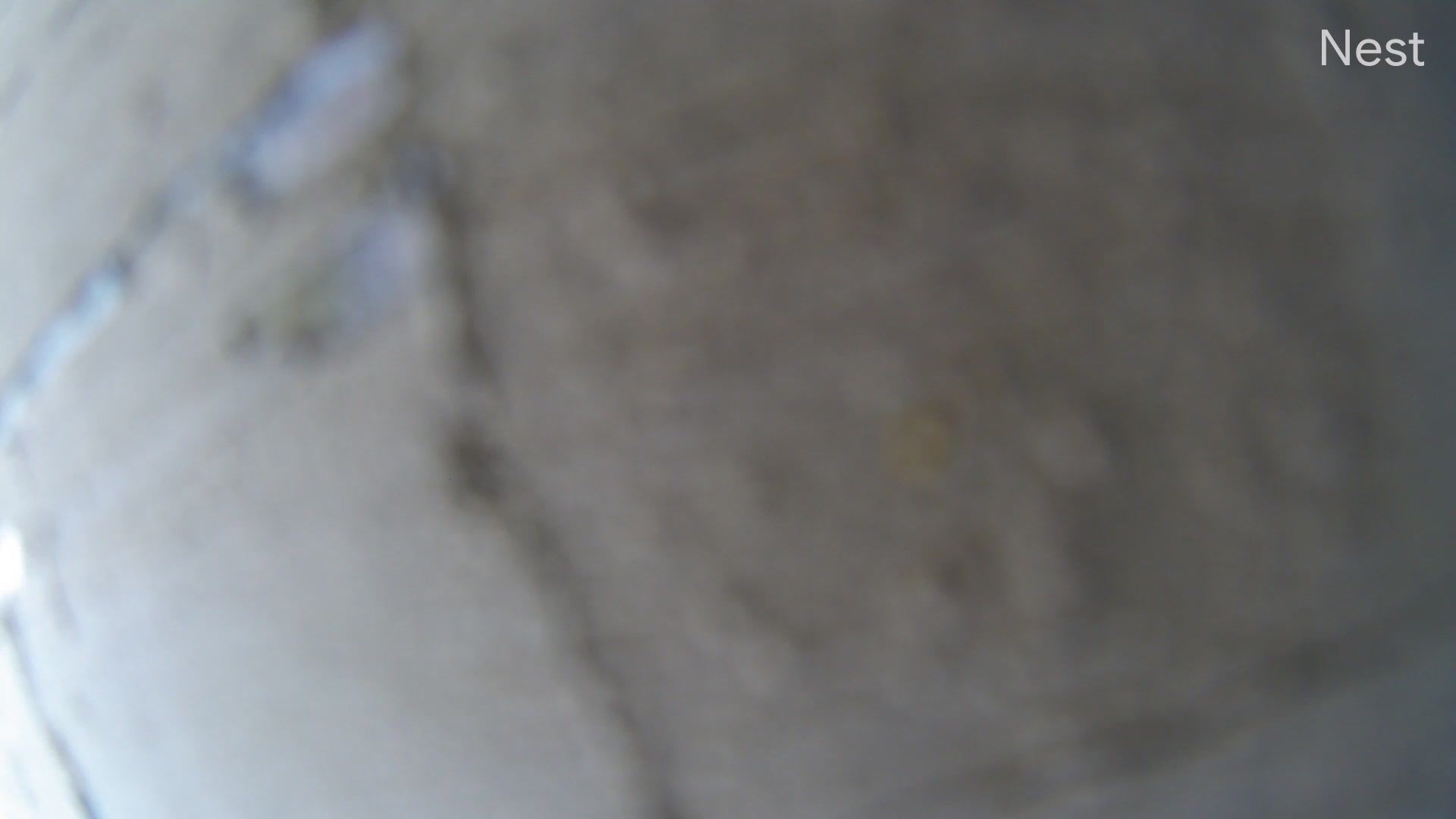 Traffic Cam Molalla › North-West: Mulino State Airport