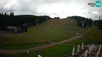 Rogla: ski resort - MšinŽaga - Funpark