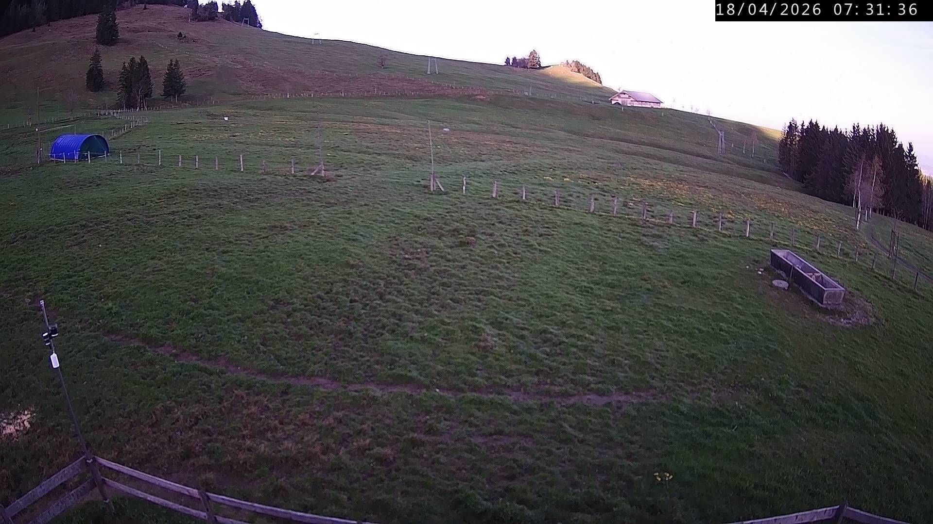 Küssnacht › Westen: Holderen