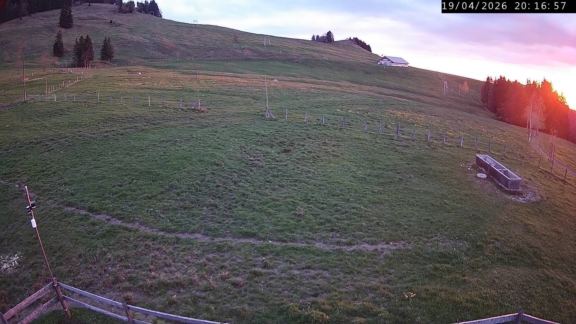 Küssnacht › Westen: Holderen