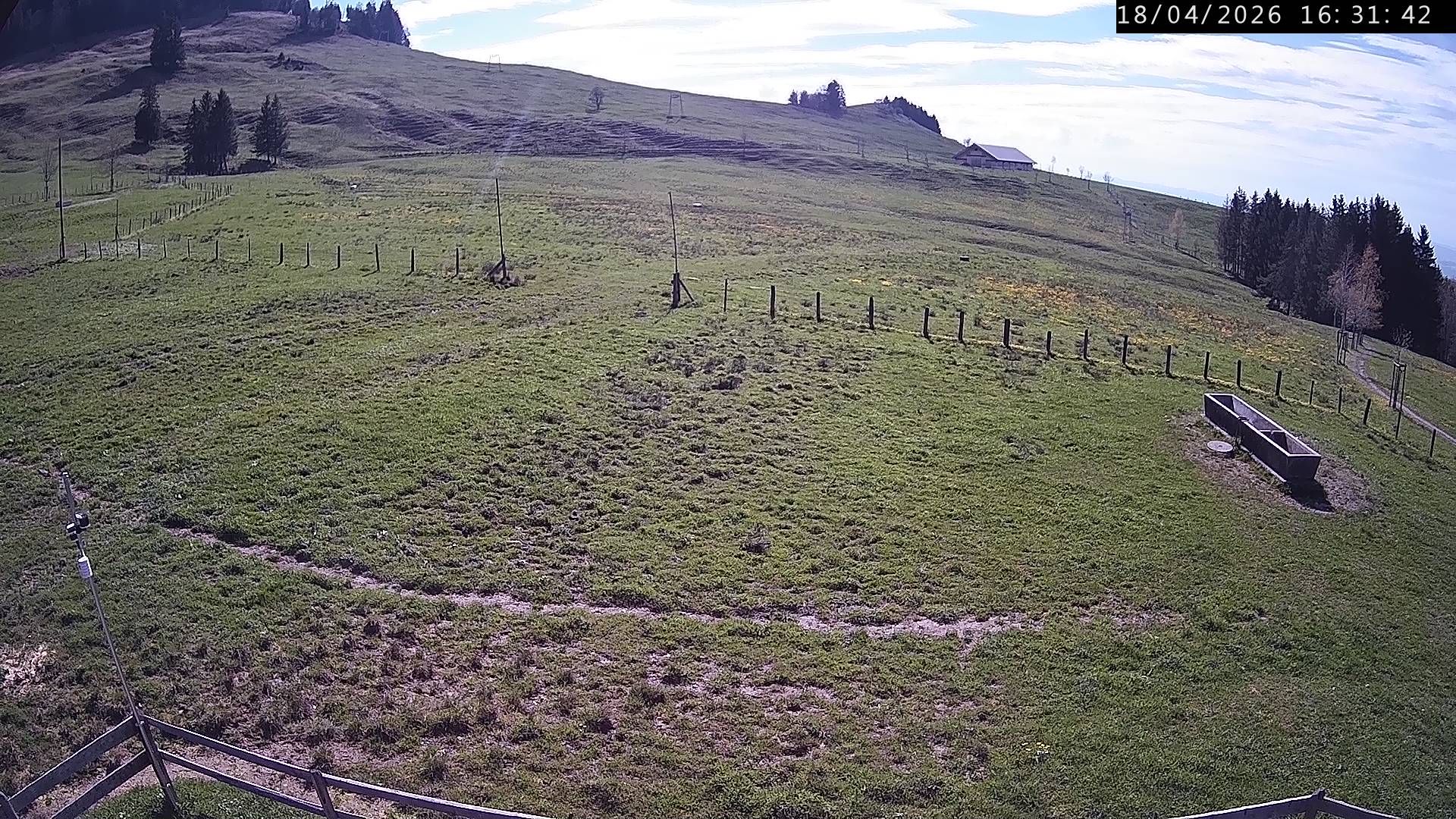 Küssnacht › Westen: Holderen