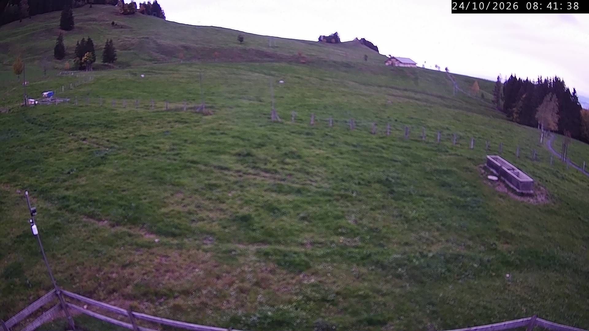 Küssnacht › Westen: Holderen