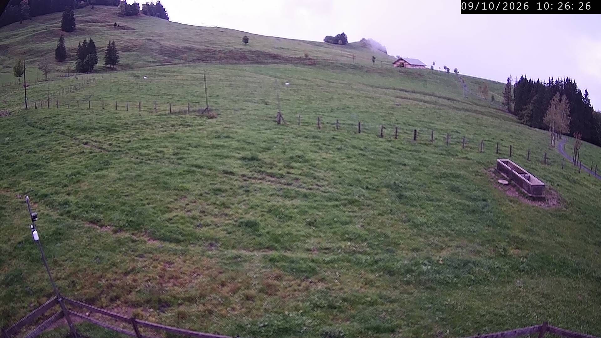 Küssnacht › Westen: Holderen