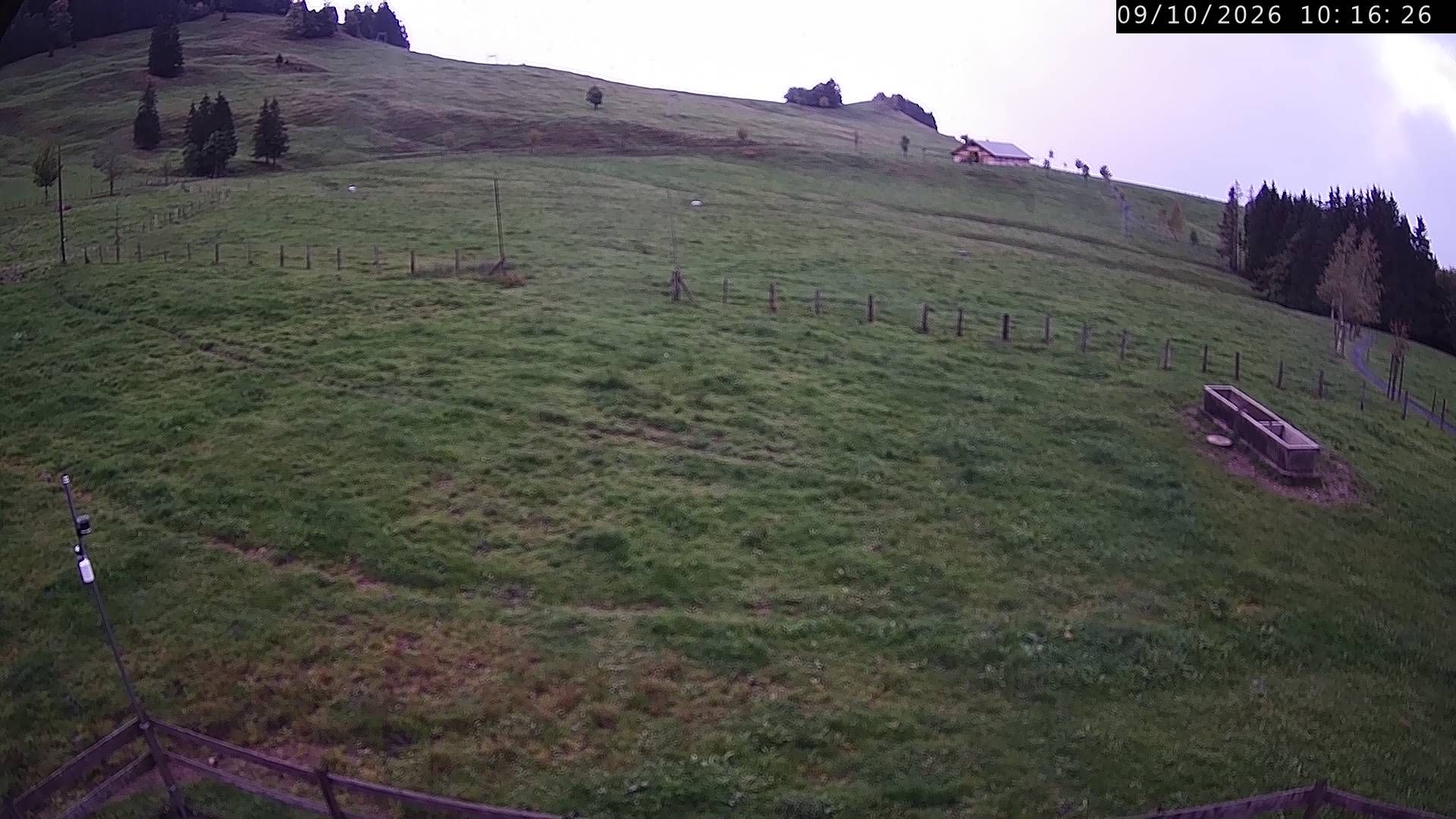 Küssnacht › Westen: Holderen