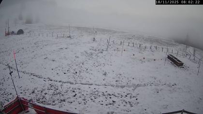 Küssnacht › Westen: Holderen