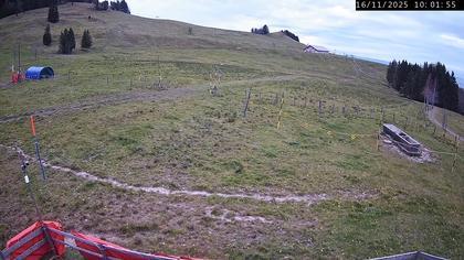 Küssnacht › Westen: Holderen