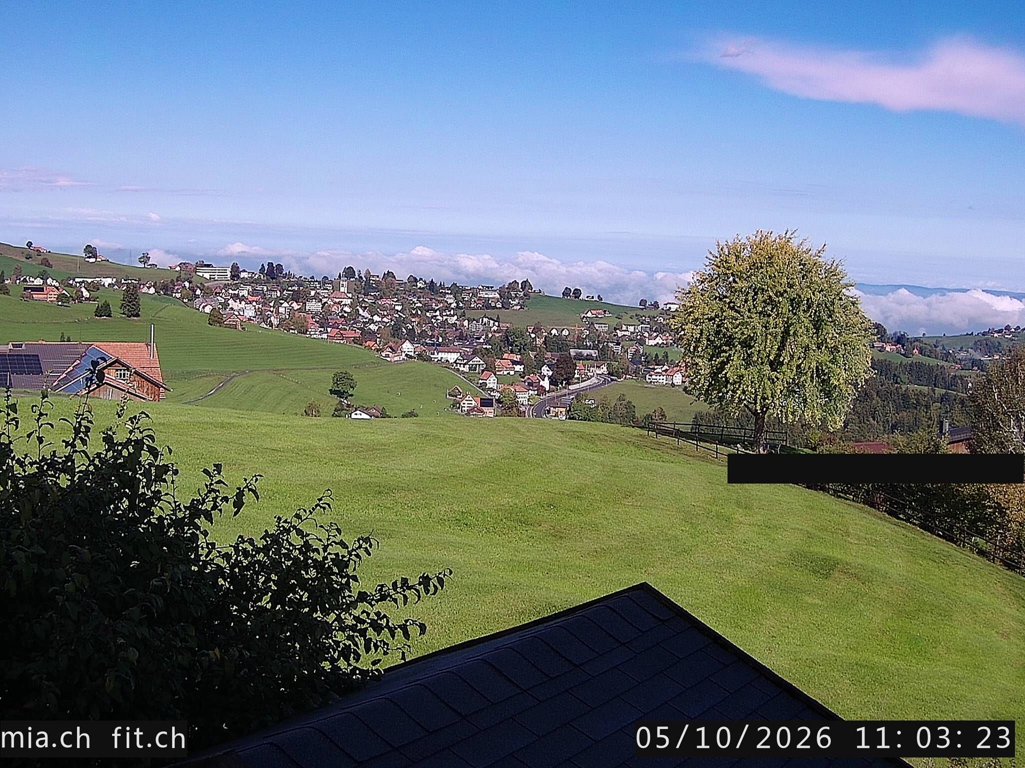 Trogen › Norden