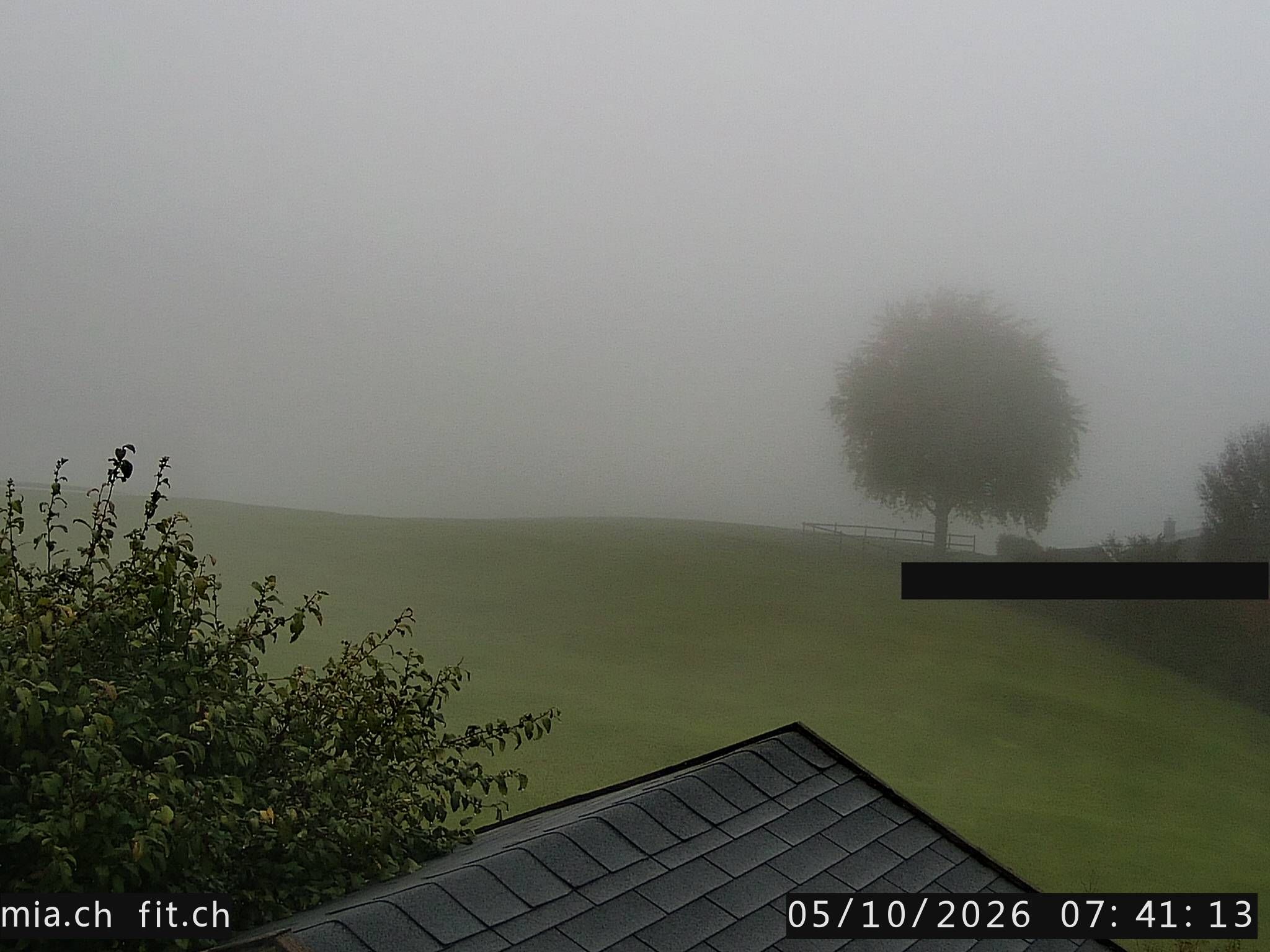 Trogen › Norden