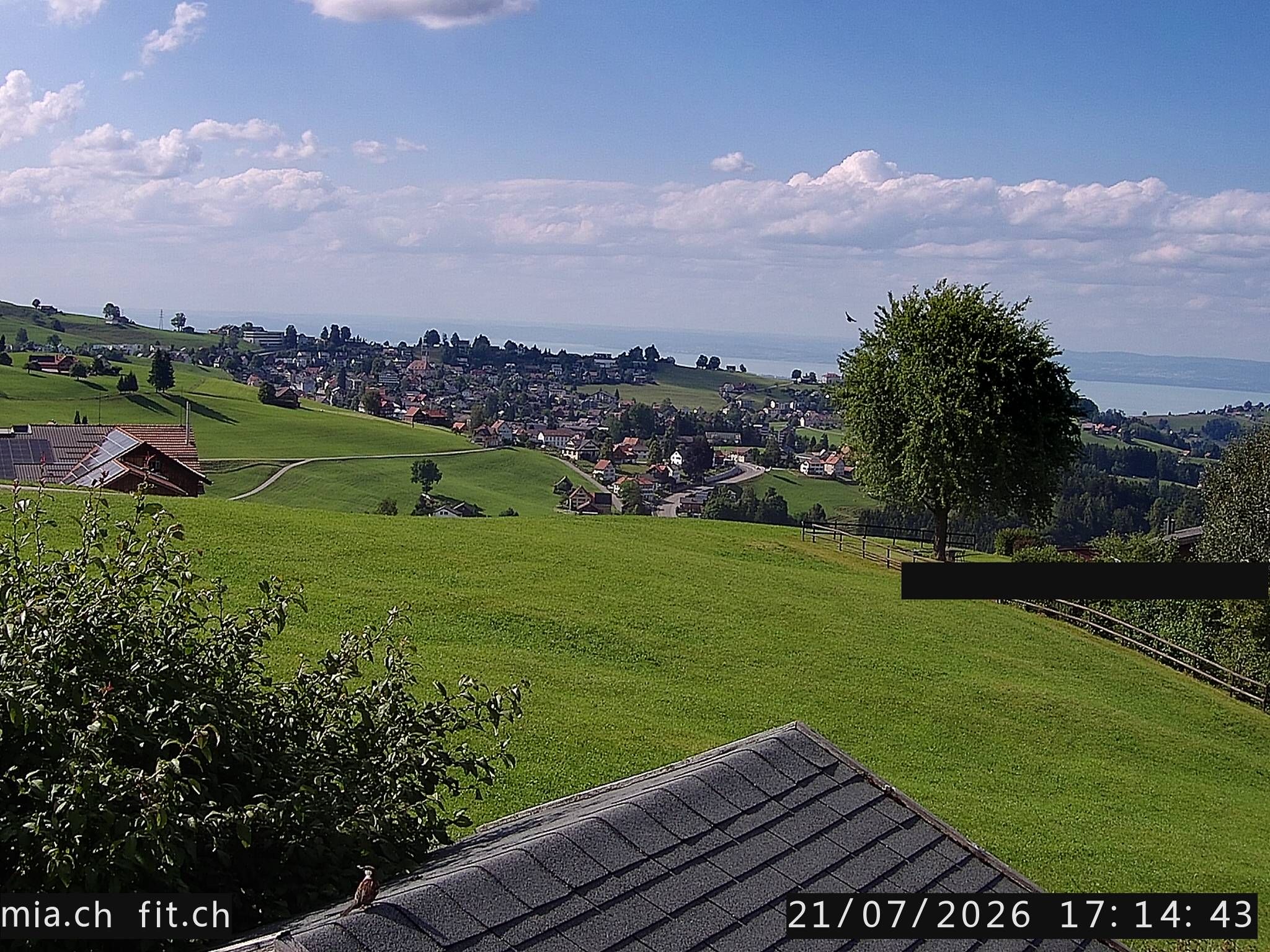 Trogen › Norden