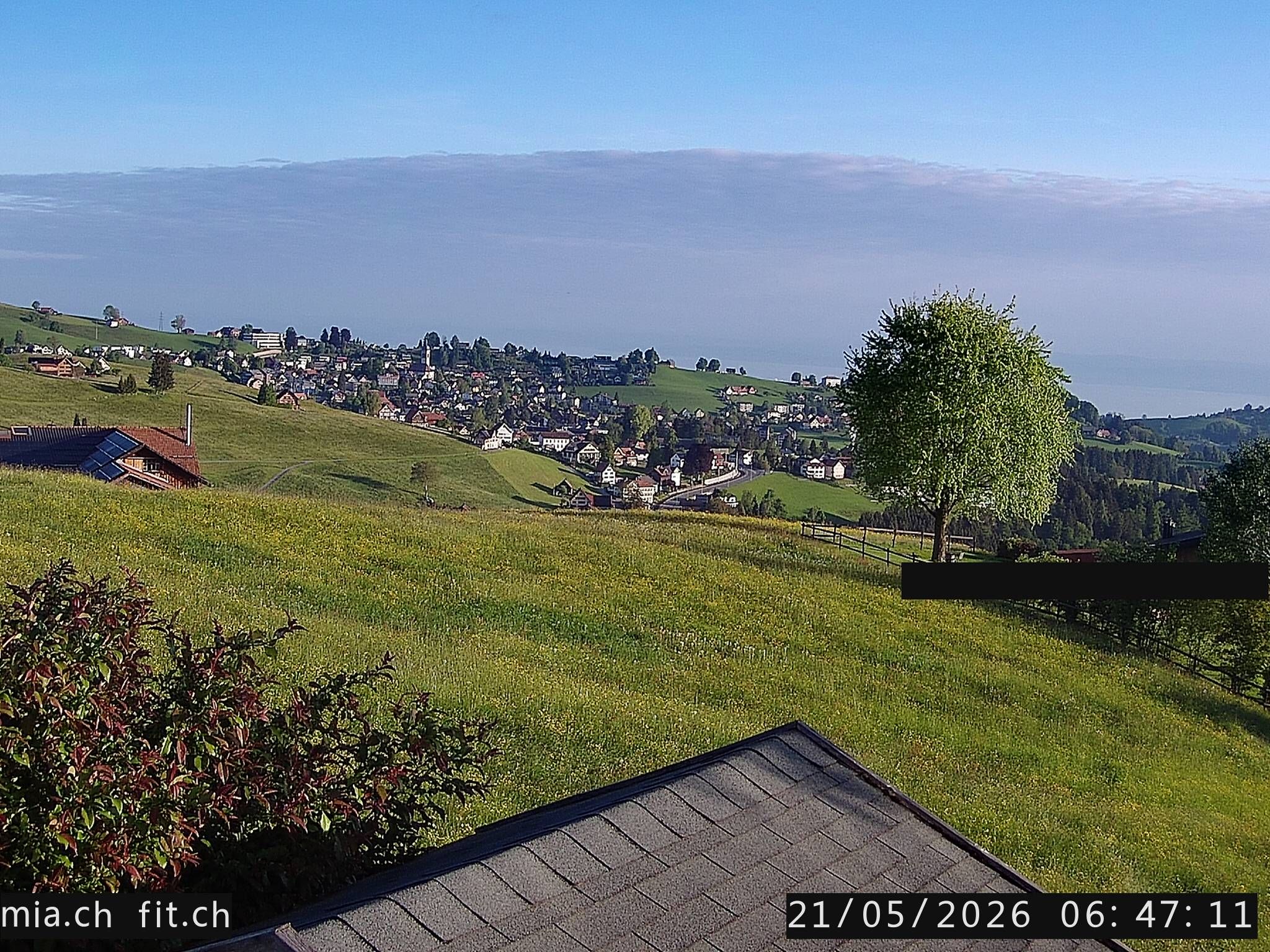 Trogen › Norden