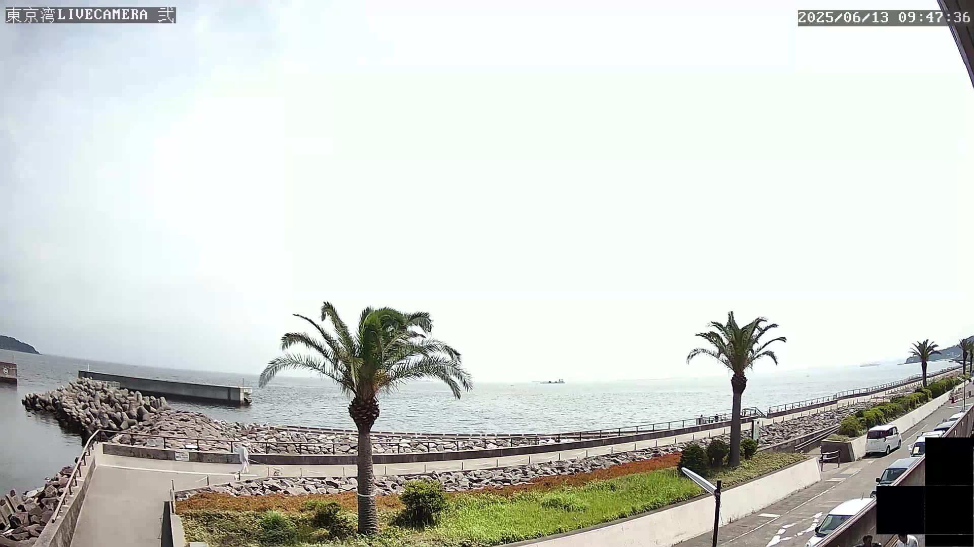 Yokosuka Coastal Weather Webcam