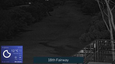 Recent Anglesea Webcam Image