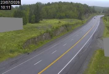 Traffic Cam Cap-Chat