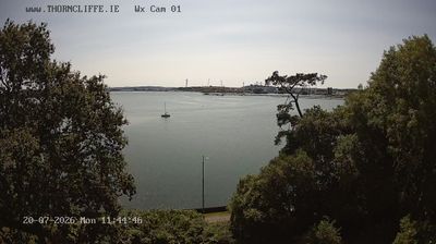 Cork today