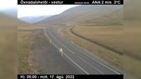 Djupivogur: Skinnastaður, Öxarfirði