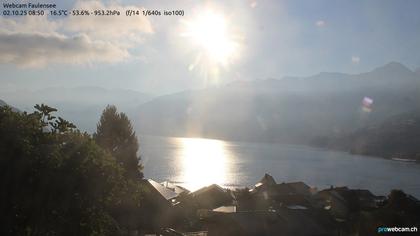 Spiez: Faulensee