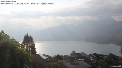 Spiez: Faulensee