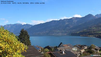 Spiez: Faulensee