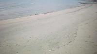 Sunny Beach Resort: Nesebar