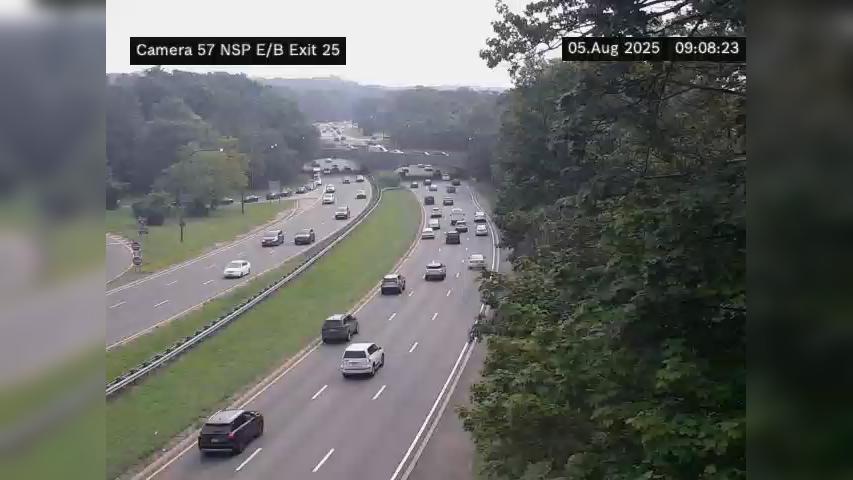 Traffic Cam New York › East: NSP West of Lakeville Road
