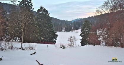 Orvin: Naturfreunde Biel