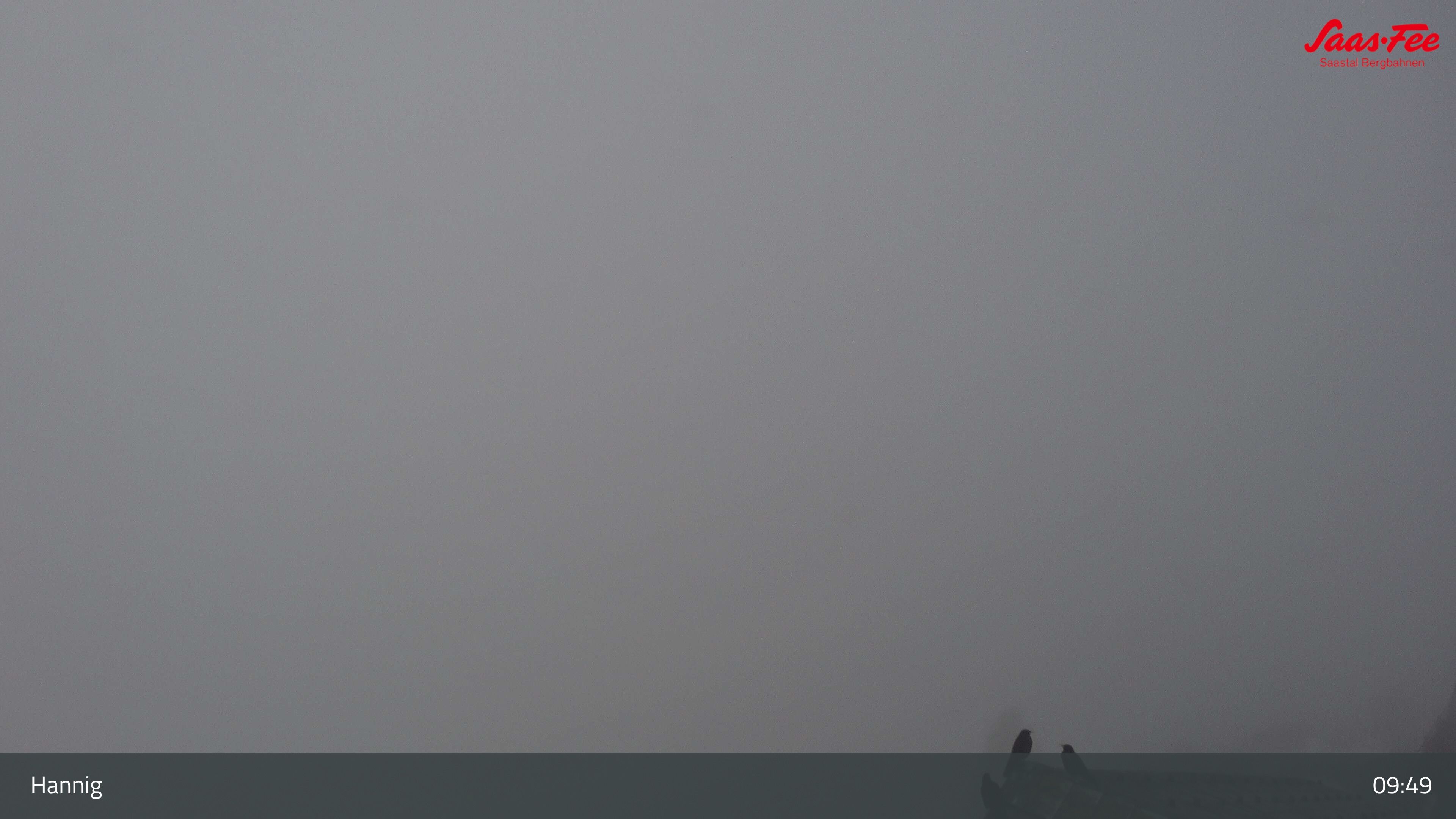 Saas-Fee: Hannig