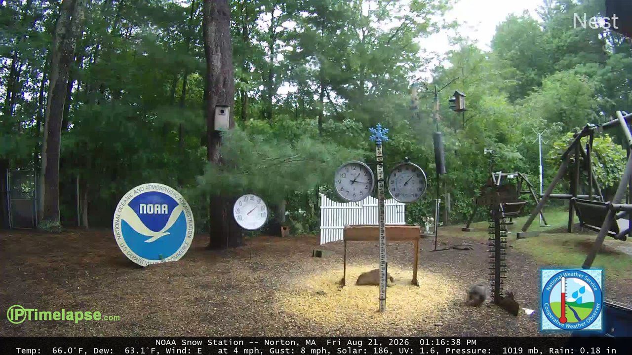 Traffic Cam Norton › North