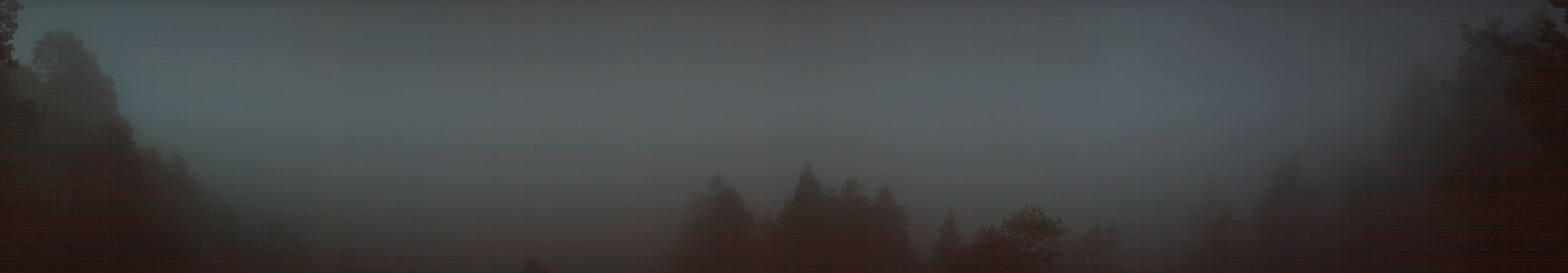 Flims: Conn: Lärchwald - Rein Anteriur