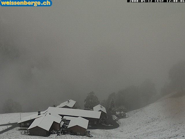 Matt: Weissenberge 2