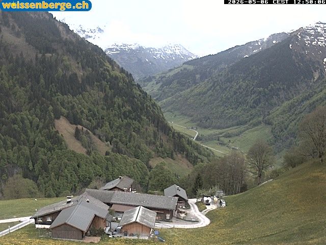 Matt: Weissenberge 2