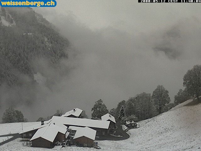 Matt: Weissenberge 2