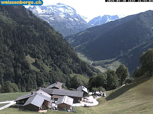 Matt: Weissenberge 2