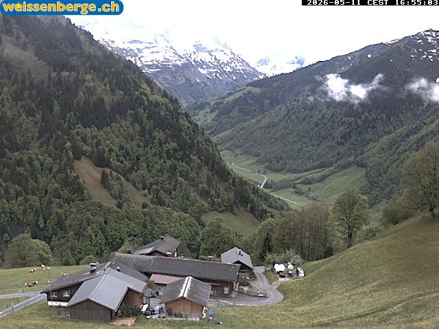 Matt: Weissenberge 2