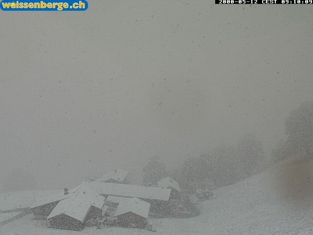 Matt: Weissenberge 2