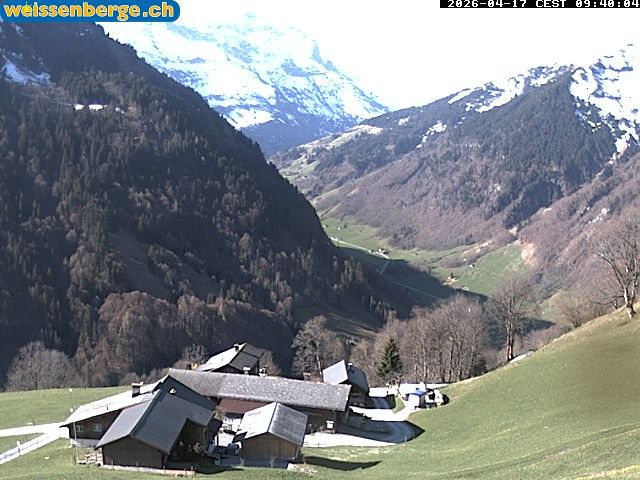 Matt: Weissenberge 2