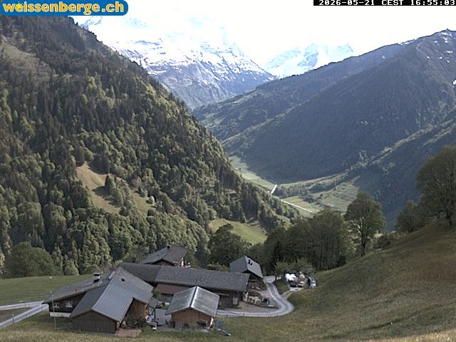 Matt: Weissenberge 2