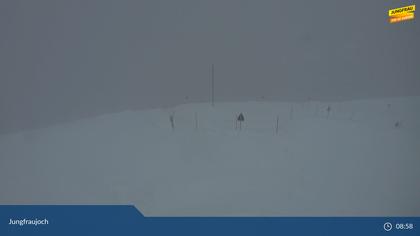 Lauterbrunnen: Jungfraujoch