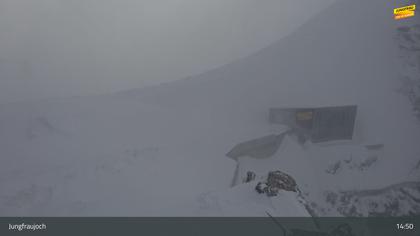 Lauterbrunnen: Jungfraujoch