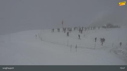Lauterbrunnen: Jungfraujoch