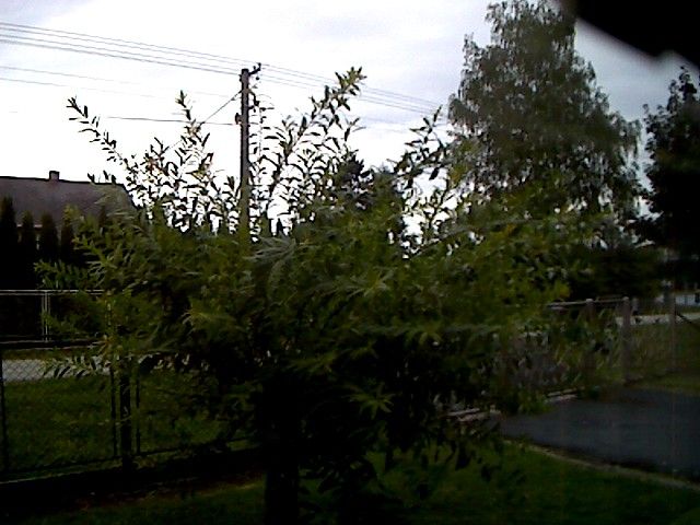 Traffic Cam Vaclavovice › North-West