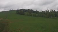 Czarna Gora: Grapa Litwinka